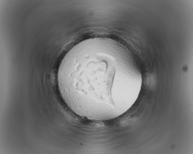 X0000089920715200707271736