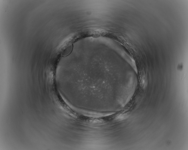 X0000089920716200707271736