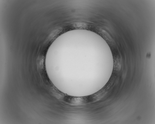 X0000089920717200707271736