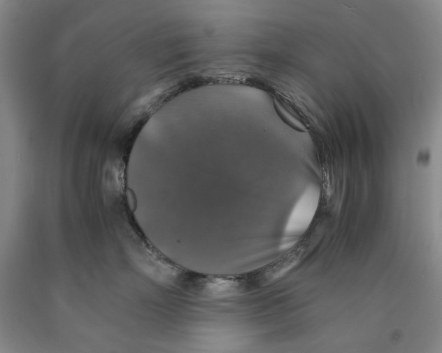 X0000089920718200707271736