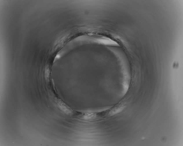 X0000089920720200707271736