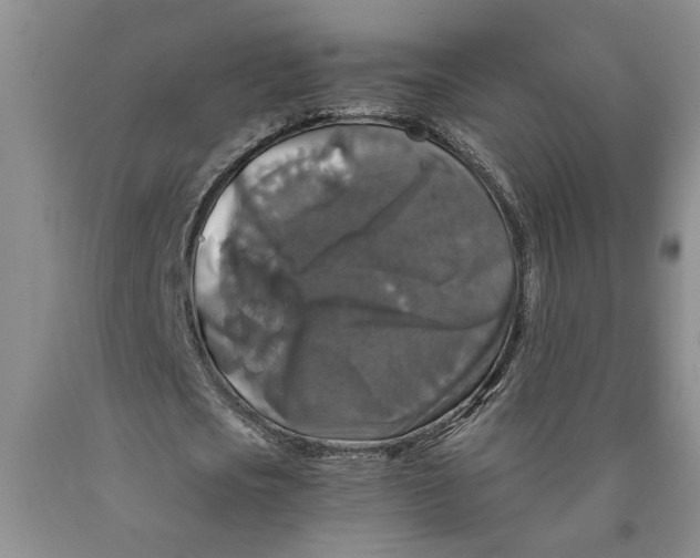 X0000089920721200707271735