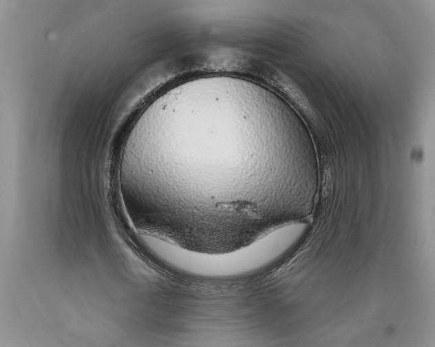 X0000089920722200707271735