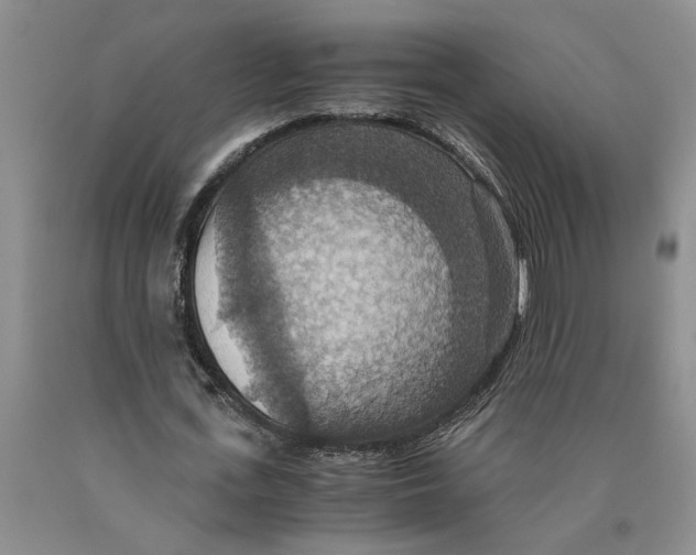 X0000089920723200707271735