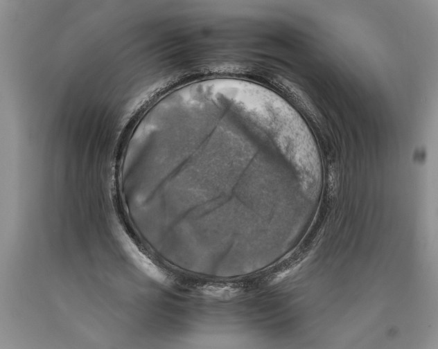 X0000089920725200707271736