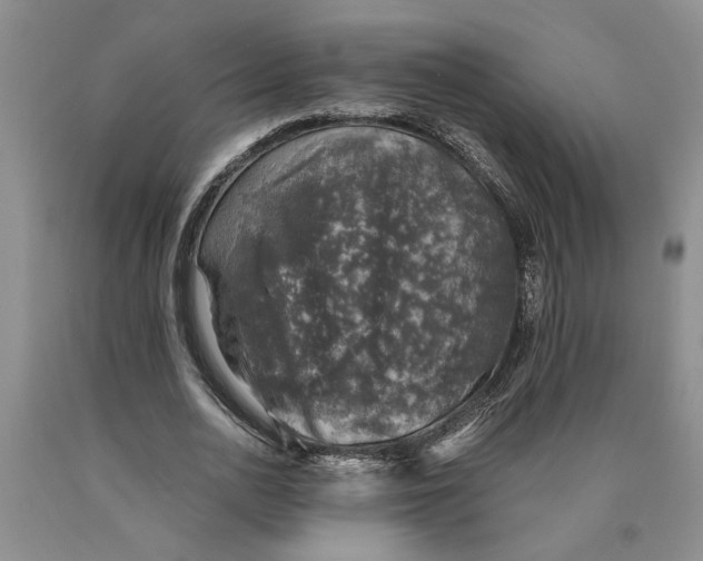 X0000089920726200707271736