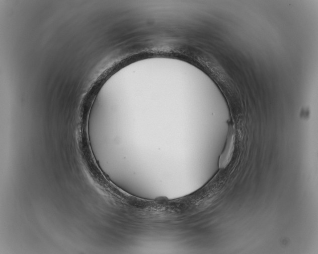 X0000089920728200707271736