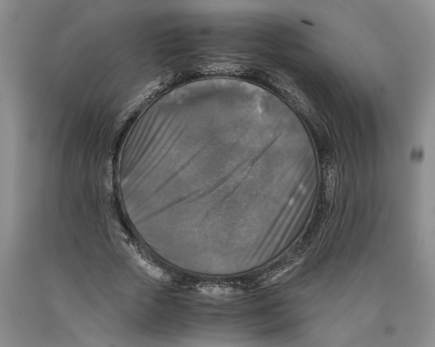 X0000089920729200707271736