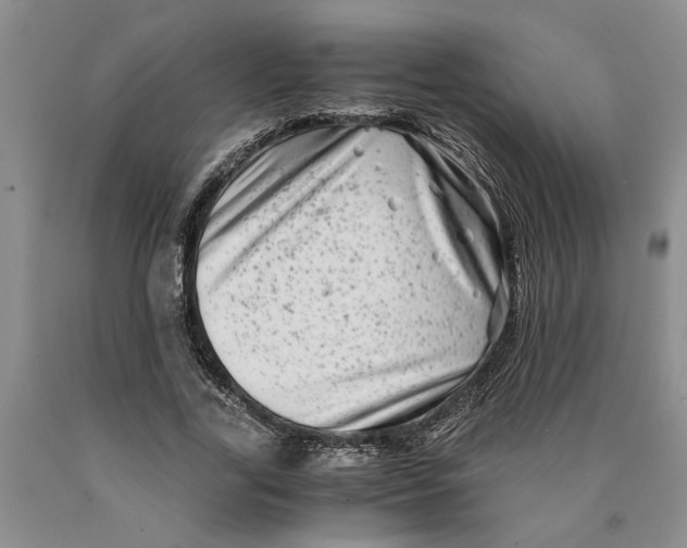 X0000089920731200707271736