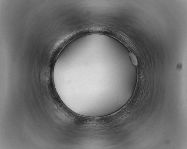 X0000089920732200707271736