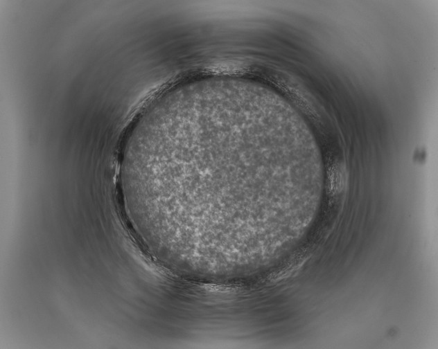 X0000089920733200707271736