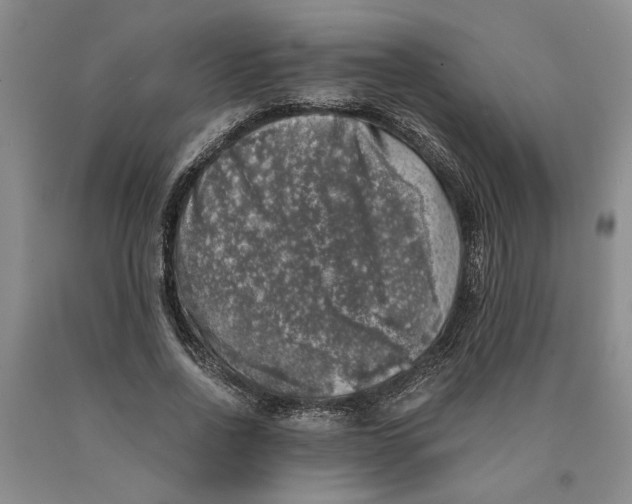 X0000089920734200707271736