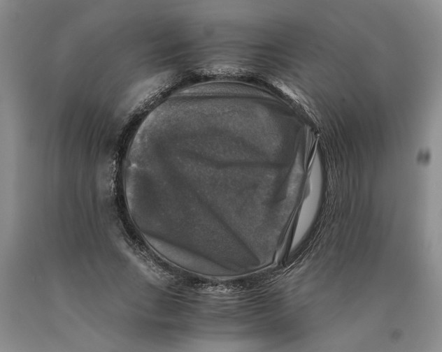 X0000089920735200707271736