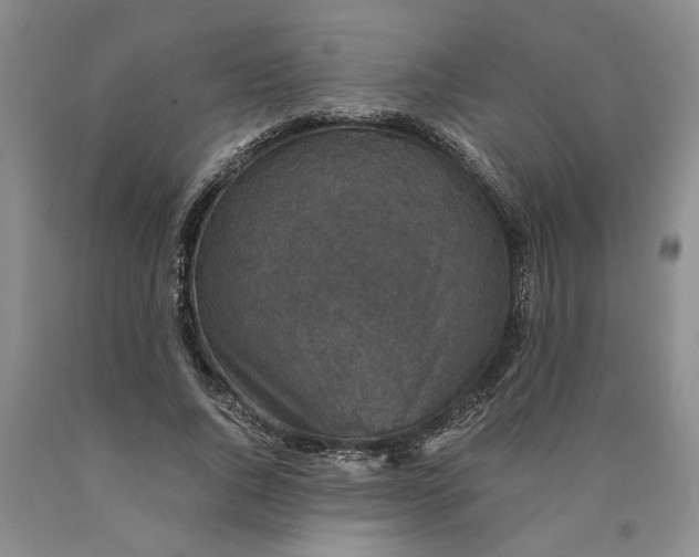 X0000089920736200707271736