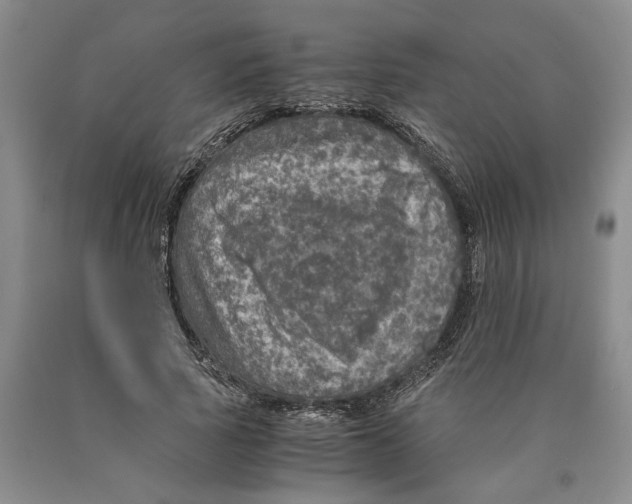 X0000089920737200707271736