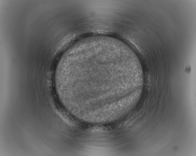 X0000089920738200707271736