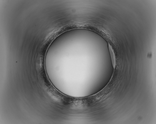 X0000089920740200707271736