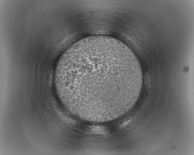 X0000089920741200707271736