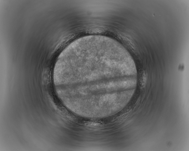 X0000089920743200707271736