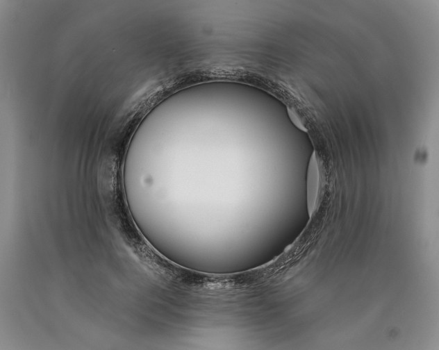 X0000089920744200707271736