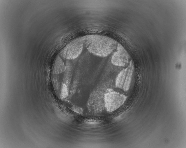 X0000089920745200707271736