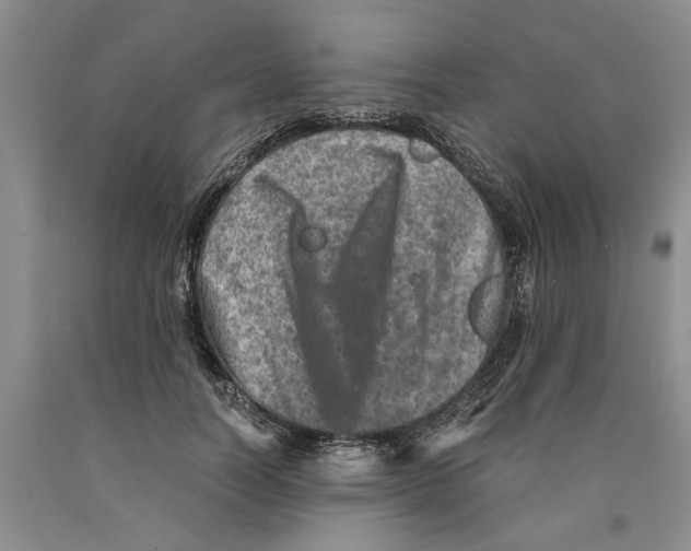 X0000089920746200707271736