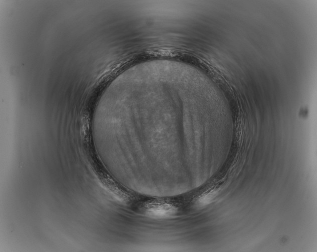 X0000089920747200707271736