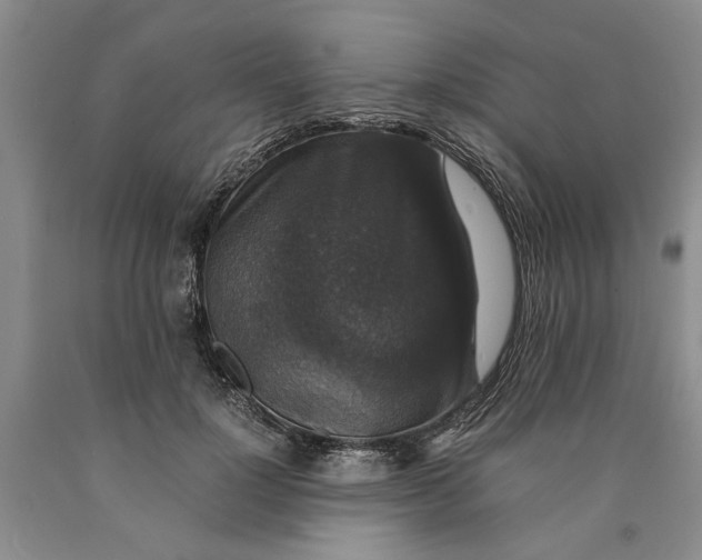 X0000089920748200707271736