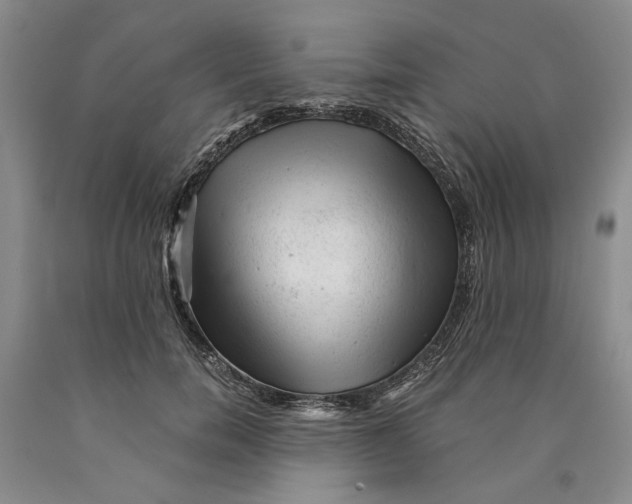 X0000089920750200707271736