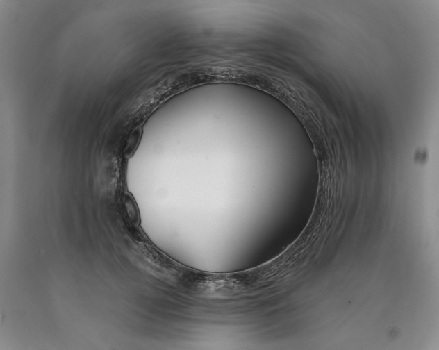 X0000089920752200707271736