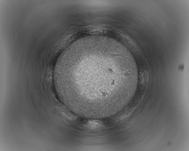 X0000089920753200707271736