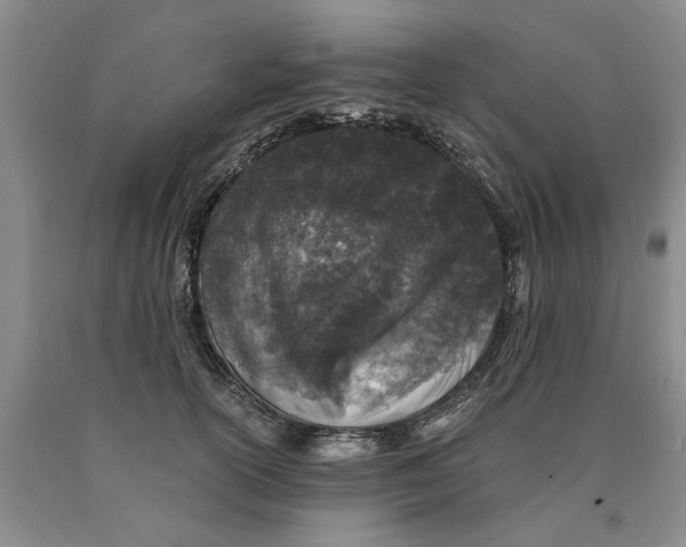 X0000089920754200707271736