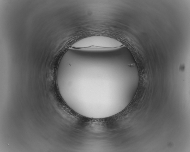 X0000089920756200707271736