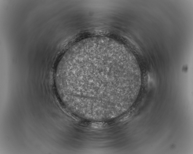 X0000089920757200707271736