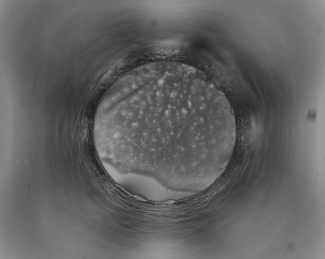 X0000089920758200707271736