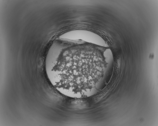 X0000089920759200707271736