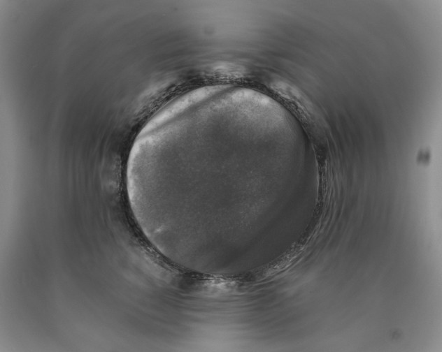 X0000089920760200707271736