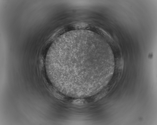 X0000089920761200707271736