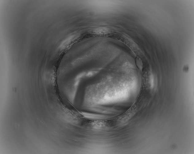 X0000089920762200707271736