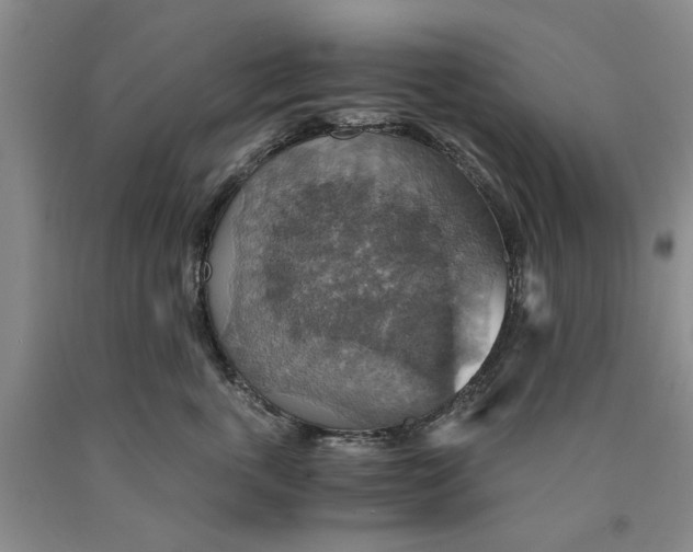 X0000089920763200707271736