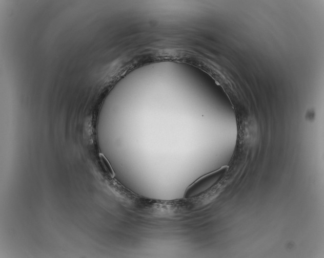 X0000089920764200707271736