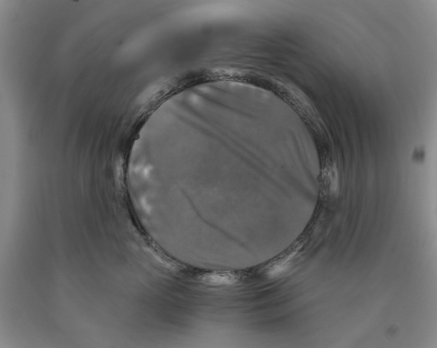 X0000089920765200707271736