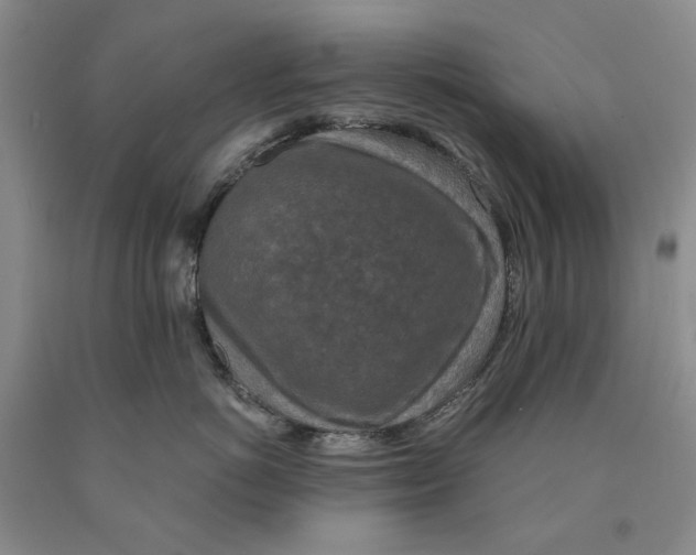 X0000089920766200707271736