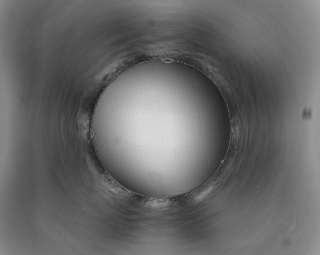 X0000089920767200707271736