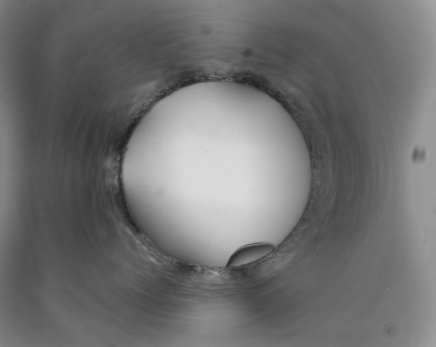 X0000089920768200707271736