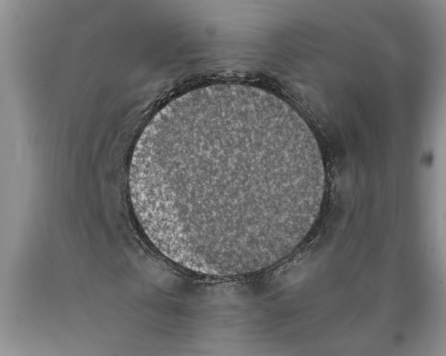 X0000089920769200707271735