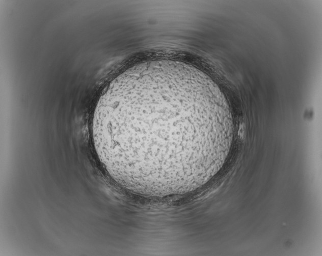 X0000089920771200707271735