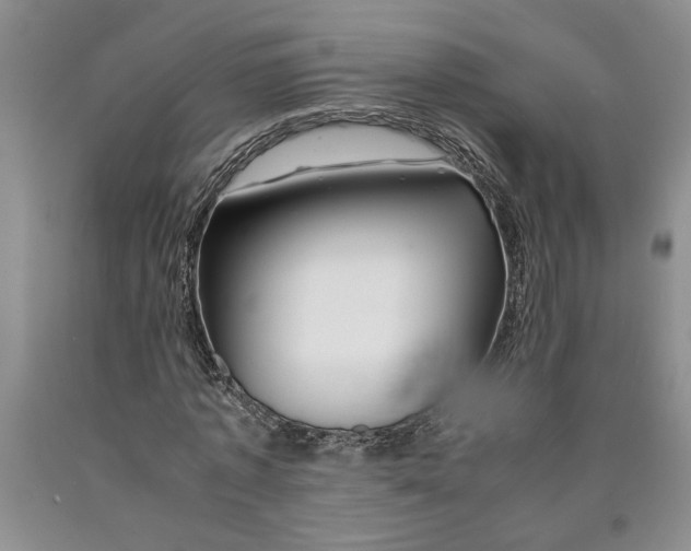 X0000089920773200707271735