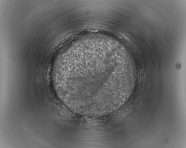 X0000089920774200707271735