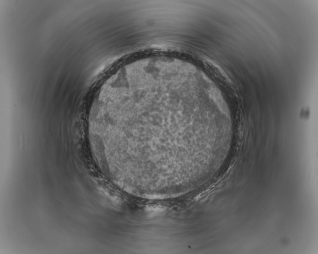 X0000089920776200707271735